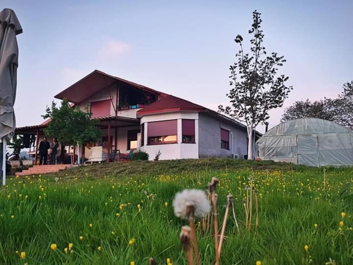 Apartamento Rural Hοuse Kastritsa Exterior foto